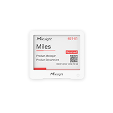 DS3604 LoRaWAN IoT Display