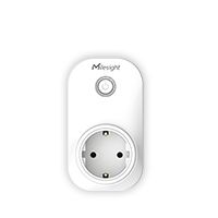 WS523 Portable Socket